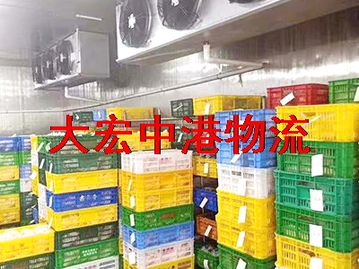 香港冷冻食品运输-冷冻炖汤香港运输-冷冻点心肉丸冷藏冷链出口香港